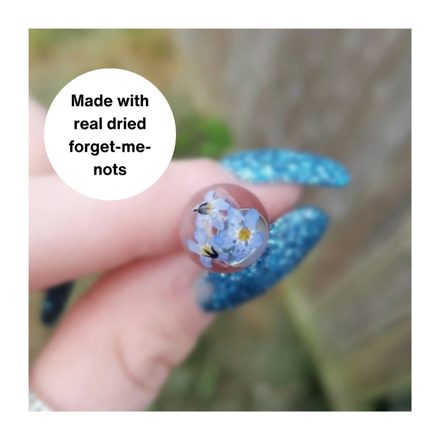 Real Dried Forget Me Not 10MM Studs