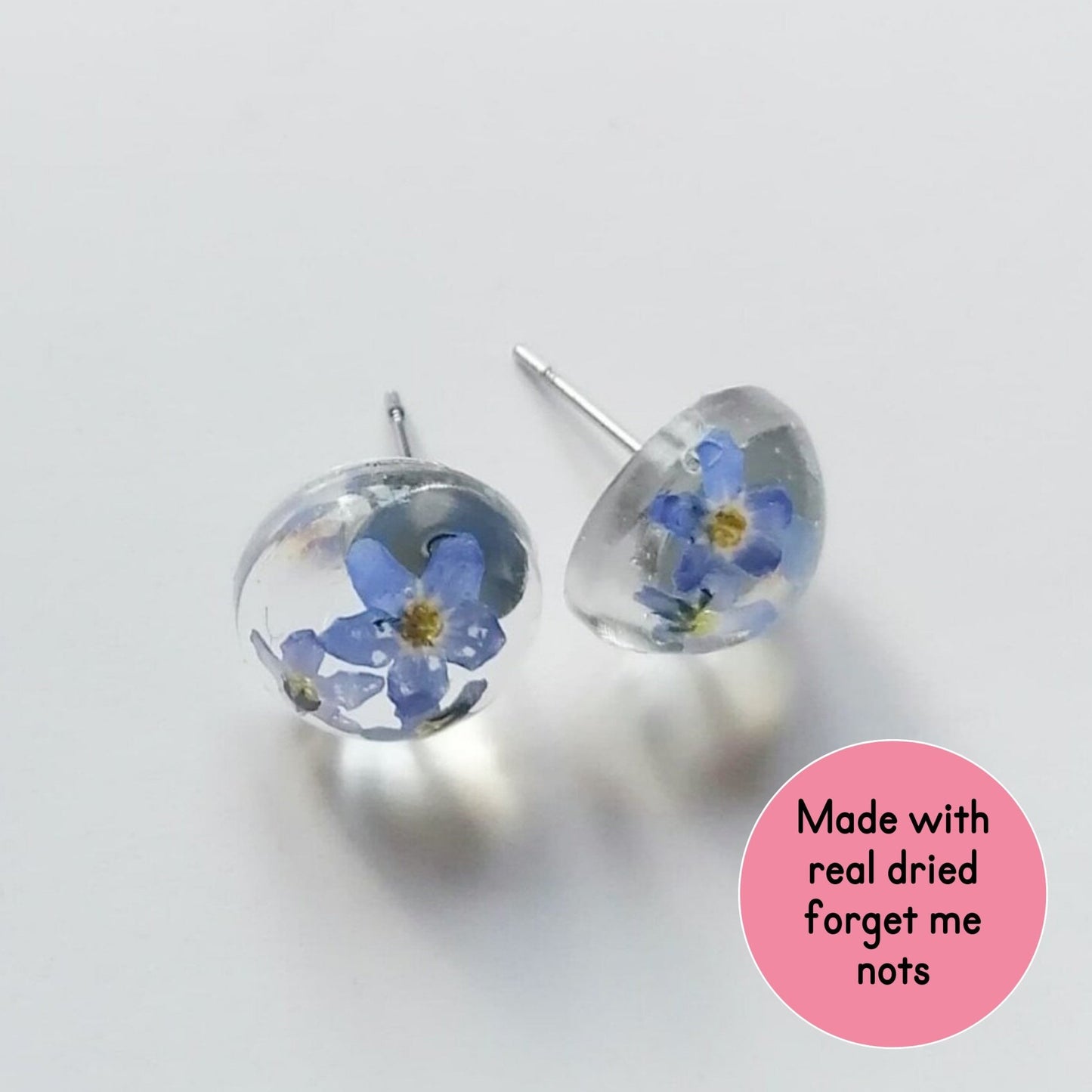 Real Dried Forget Me Not 10MM Studs