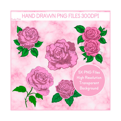 Blush Pink Hand Drawn Rose Clipart Bundle PNG